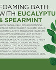 Dr Teal's Foaming Bath with Pure Epsom Salt, Relax & Relief with Eucalyptus & Spearmint, 34 fl oz (Pack of 2)