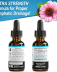 Lymphatic Drainage Supplements Drops - Organic Lymphatic Support Liquid Drops Cleanse with Echinacea for Lymph System Support Supplement, Lymph Node Detox Lymphatic System Drainage - 1oz Vegan Non-GMO