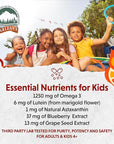 Barlean's Omega Pals Eye Health Liquid, Tangerine Flavored Omega 3 for Kids, Fish Oil Supplement with 500 mg of EPA & DHA Plus Lutein & Zeaxanthin Vitamins for Blue Light Support, 8 oz