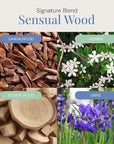Sensual Wood Aroma Oil, Essential Oils Blend for Diffusers & Scent Machines, Luxurious Sandalwood & Jasmine, Aromatherapy, Cold Air Diffuser Compatible, 300 mL