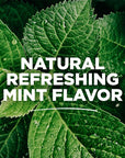 Tom's of Maine Sea Salt Natural Alcohol-Free Mouthwash, Refreshing Mint, 16 Fl Oz (Pack of 6)(Packaging May Vary)