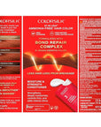 Revlon ColorSilk with Bond Repair Complex, Auburn Permanent Hair Color, 100% Gray Coverage, Ammonia Free Hair Dye, Vegan Keratin, 42 Medium Auburn (Pack of 3)