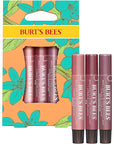 Burt's Bees Lip Balm Spring Gifts, (Packaging