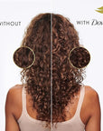 Dove Conditioner Argan Oil & Repair for Fine Hair with Bio-Protein Care Technology and Argan Oil Blend 12 Fl Oz