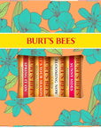 Burt's Bees Gifts Ideas - Just Picked Lip Balm Set, Pomegranate, Watermelon, Sweet Mandarin, Coconut & Pear, Natural Origin Lip Treatment, 4 Tubes, 0.15 oz.