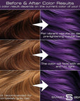 Amethyst Purple Hair Dye Permanent with Anti-Breakage Plex Hair Care, Vegan Hair Dye & Cruelty-Free, 100% Grey Coverage, purple Hair Color, For All Hair Types. Smart Beauty
