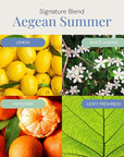 Aegean Summer Aroma Oil, Essential Oils Blend for Diffusers & Scent Machines, Green Tea & Lemongrass, Aromatherapy, Cold Air Diffuser Compatible, 300 mL