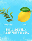 Axe Deodorant Body Spray - Ice Chill - Frozen Lemon & Eucalyptus - Net Wt. 4 OZ (113 g) Per Can - Pack of 2 Cans