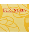Burt's Bees Rescue Lip Relief Lip