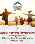 Barlean's Lemon Crème Omega 3 Fish Oil Liquid Supplement, 1080mg of Omega 3 EPA & DHA Fatty Acid, Smoothie Flavored & Burpless for Brain, Joint, & Heart Health, 16 oz