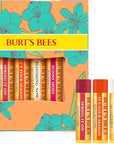 Burt's Bees Gifts Ideas - Just Picked Lip Balm Set, Pomegranate, Watermelon, Sweet Mandarin, Coconut & Pear, Natural Origin Lip Treatment, 4 Tubes, 0.15 oz.