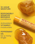 Burt's Bees Lip Balm, Lip Moisturizer With Responsibly Sourced Beeswax, with Vitamin E & Peppermint Oil, Natural Origin Moisturizing Care, 1 Tube, 0.15 oz.