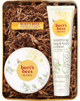 Burt's Bees Pregnancy Essentials Gifts Set, Nourishing