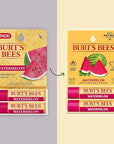 Burt's Bees Lip Balm - Watermelon, Lip Moisturizer With Responsibly Sourced Beeswax, Tint-Free, Natural Origin Conditioning Treatment, 2 Tubes, 0.15 oz.