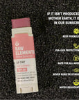 Raw Elements Organic Pink Lip Shimmer
