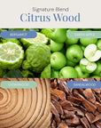 Citrus Wood Aroma Oil, Essential Oils Blend for Diffusers & Scent Machines, Fresh Bergamot & Green Apple, Aromatherapy, Cold Air Diffuser Compatible, 300 mL