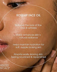 Advanced Clinicals Rosehip Oil For Face With Vitamin E + Botanicals Helps Improve Look Of Dark Spots, Wrinkles, Fine Lines, & Uneven Looking Skin Tone | Moisturizing Skin Care Face Serum, 2-Pack