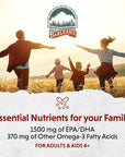 Barlean's Passion Pineapple High Potency Omega 3 Fish Oil Liquid Supplement, 1500mg EPA & DHA Fatty Acid, Smoothie Flavored & Burpless for Brain, Joint, & Heart Health, 16 oz