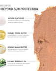 Raw Element Ultra-Moisturizing Tinted Face Cream, Non Toxic 1.8 oz