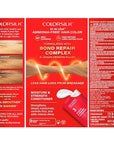 Revlon ColorSilk with Bond Repair Complex, Blonde Permanent Hair Color, 100% Gray Coverage, Ammonia Free Hair Dye, Vegan Keratin, 81 Light Blonde (Pack of 3)