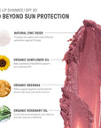 Raw Elements Organic Pink Lip Shimmer