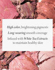 LAURA GELLER NEW YORK Baked Blush-n-Brighten Marbleized Blush for Cheeks - Tropic Hues - Satin Finish - Buildable Color