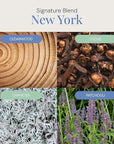 New York Aroma Oil, Essential Oils Blend for Diffusers & Scent Machines, Elegant Cedarwood & Spicy Clove, Aromatherapy, Cold Air Diffuser Compatible, 300 mL