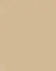 NARS Natural Radiant Longwear Foundation - Punjab by - Foundation 1 oz