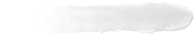Burt's Bees 100% Natural Moisturizing Lip