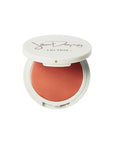 Jillian Dempsey Lid Tint: Satin Cream Eyeshadow I Easy Application for a Natural Shimmer or a Layered Matte Finish I Peach