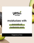 Yes To Avocado Fragrance Free Daily Cream Cleanser, Hydrating Face Wash That Removes Makeup & Impurities Leaving Skin Moisturized With Hyaluronic Acid & Glycerin, Natural Vegan & Cruelty Free, 4 Fl Oz