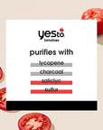 Yes To Tomatoes Clear Skin Detoxifying Daily Cleanser For Acne Prone Skin, Deep Clean, Salicylic Acid & Charcoal, 97% Natural Ingredients, 5 Fl Oz