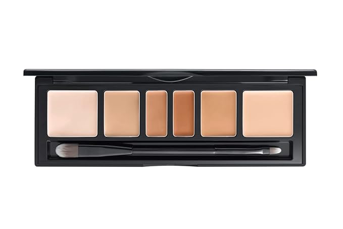 [JUNGSAEMMOOL OFFICIAL] Artist Concealer Palette (Skin) | Makeup Cover Up