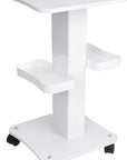 Upgrade Esthetician Beauty Trolley Cart with Wheels and 2 Trays, 4 Tier Beauty Rolling Cart, Spa Salon, Beauty Machine Trolley, Load 135lbs, 26.7 x 13.8 x 15 inch