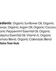 Moroccan Magic Organic Peppermint Eucalyptus Lip Balm 3 Pack | Ultra-Hydrating Argan & Essential Oil Lip Moisturizer + Vitamin E | Natural Mint Chapstick for Dry Lips | Non-Toxic | Organic Lip Balm