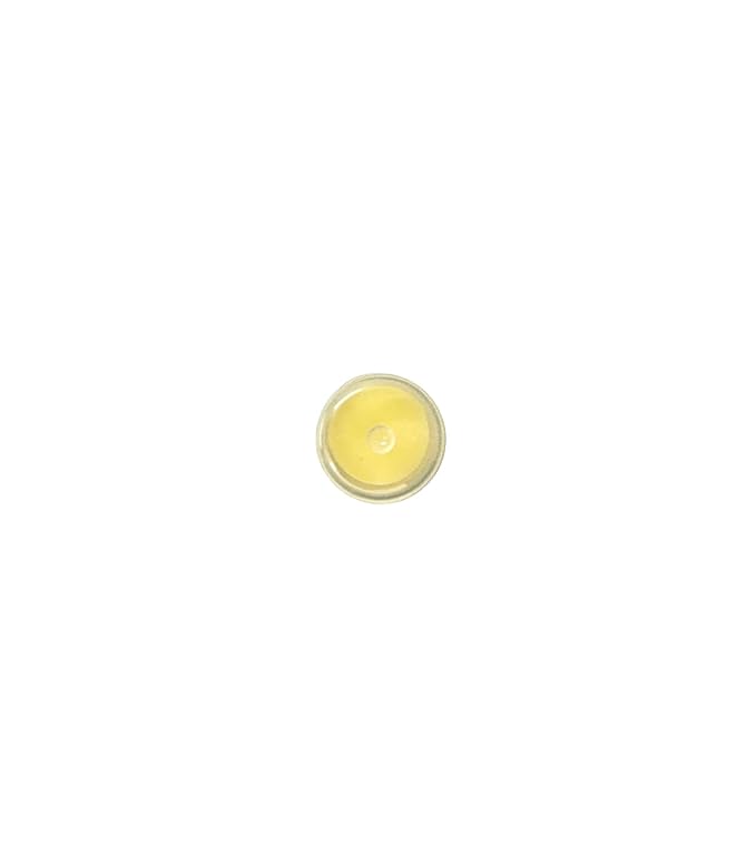 LIP BALM Mongo Kiss 6-Pack by