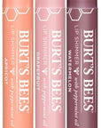 Burts Bees Kissable Colo, Apricot, Grapefruit,