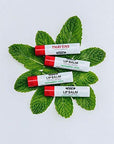 Thayers Organic Slippery Elm Lip Balm,
