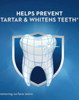 Crest Tartar Protection Whitening Cool Mint Flavor Toothpaste 8.2 Oz (Pack of 4)