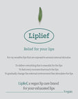 HOLIKA HOLIKA Liplief Glowy Lip Oil