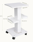 Upgrade Esthetician Beauty Trolley Cart with Wheels and 2 Trays, 4 Tier Beauty Rolling Cart, Spa Salon, Beauty Machine Trolley, Load 135lbs, 26.7 x 13.8 x 15 inch