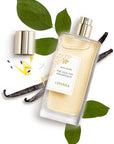 Lavanila Pure Vanilla Perfume Set for Women (1.7 Fl Oz + 10ml Roller-Ball) - Pure Madagascar Vanilla Fragrance, Clean and Natural Eau de Parfum Made In USA