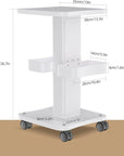 Esthetician Cart with Wheels and 2 Trays, 4 Tier Salon and Spa Equipment Trolley Carts, Beauty Machine Trolley, Load 135lbs
