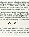 Tea Tree Therapy Vegetable Base Bar Soap, Eucalyptus, 2 count