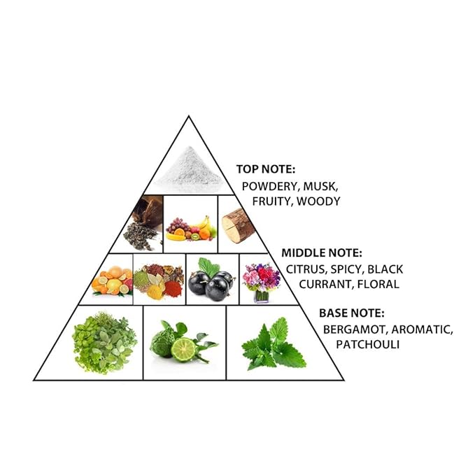 Al Haramain Emotion Antique - Perfume for Women and Cologne for Men - Long-Lasting Fragrance with Woody Notes - 3.33 oz Extrait De Parfum Spray