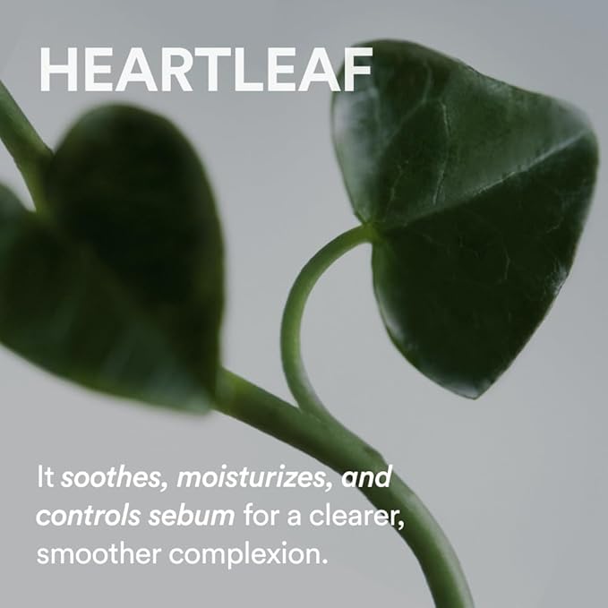 Abib Heartleaf Spot Pad Calming Touch 80pads 5.07 fl.oz. | Korean Acne Soothing Toner Pads for Face, Cleansing, Disposable, Exfoliant, Skin Care