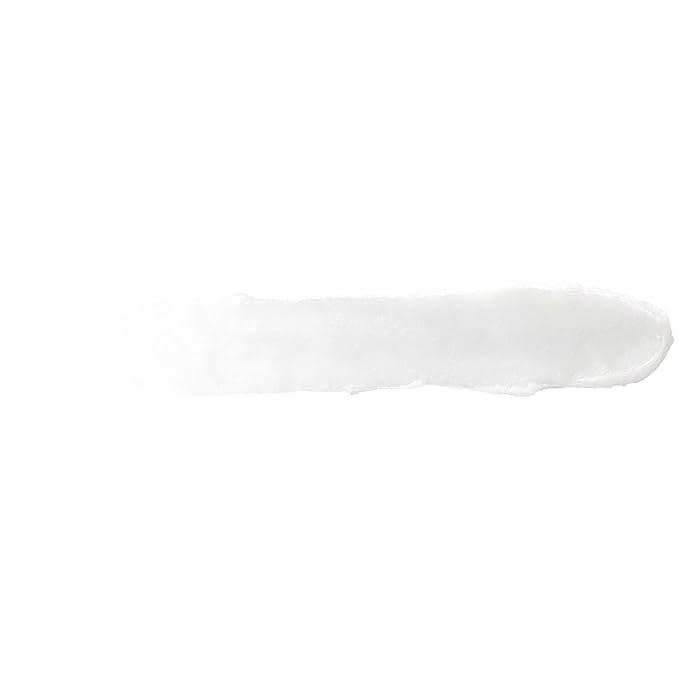 Burt's Bees 100% Natural Moisturizing Lip