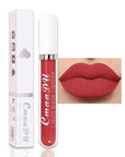 evpct 1Pcs Scarlet Red Liquid Matte Lipstick Lipgloss Set for Women, labiales mate 24 horas originales matte larga duracion 24 Hour Lipstick Lip Stains Long Lasting Waterproof 24, 05#