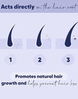 MOERIE Ultimate Hair Growth Serum for Natural Hair Regrowth & Thickening - Anti Thinning & Hair Loss Treatment for Women - Rapid Hair Growth Products - Scalp Oil Alternative - 1.69 fl oz, 3 pack