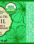 US Organic 100% Pure Basil Essential Oil, USDA Certified Organic, Steam Distilled W/Euro Dropper, 10 ml (More Size Variations Available)